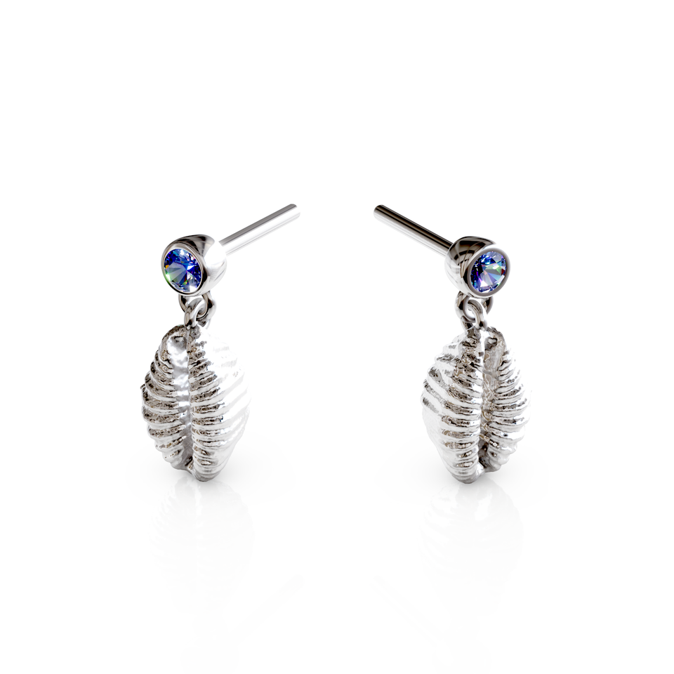 cowrie shell stud earrings