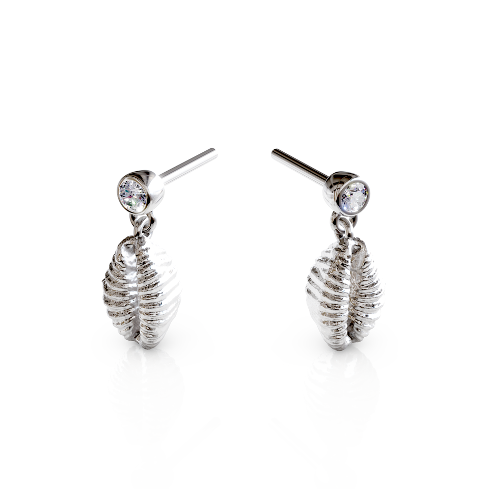 cowrie shell stud earrings