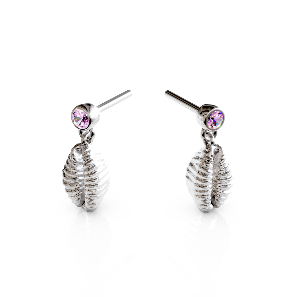 cowrie shell stud earrings