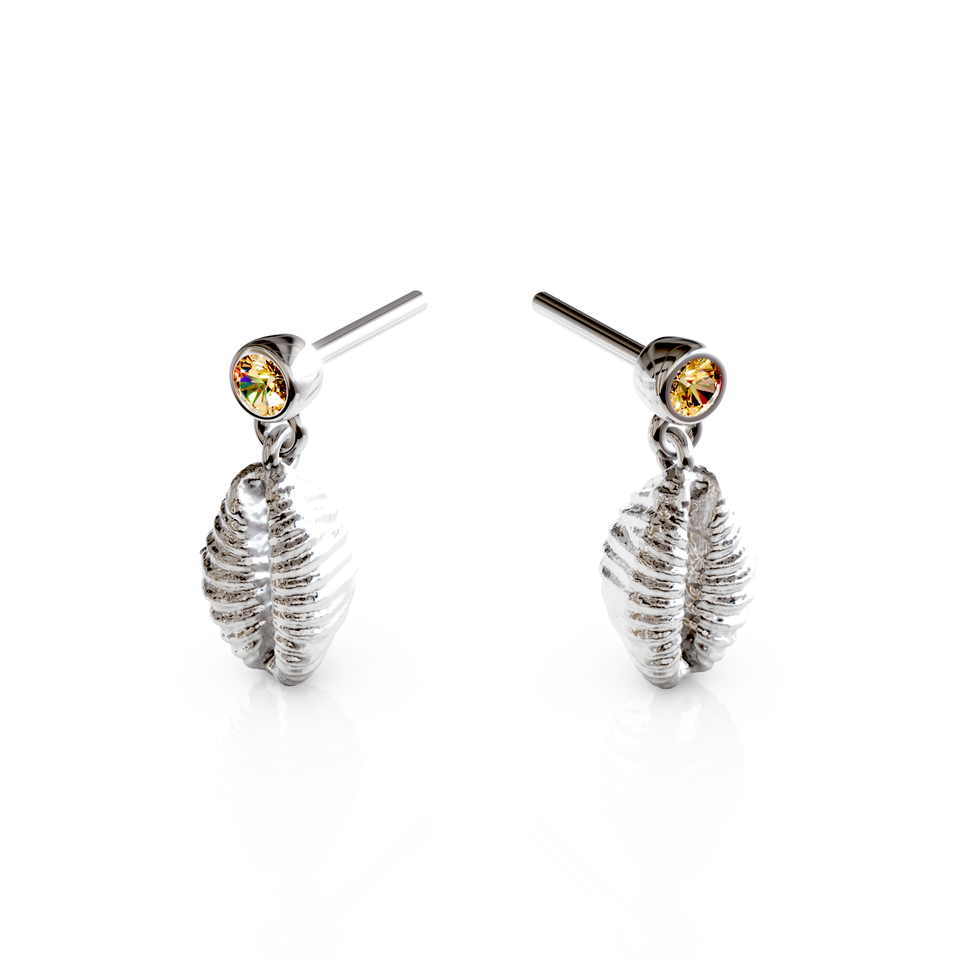 cowrie shell stud earrings