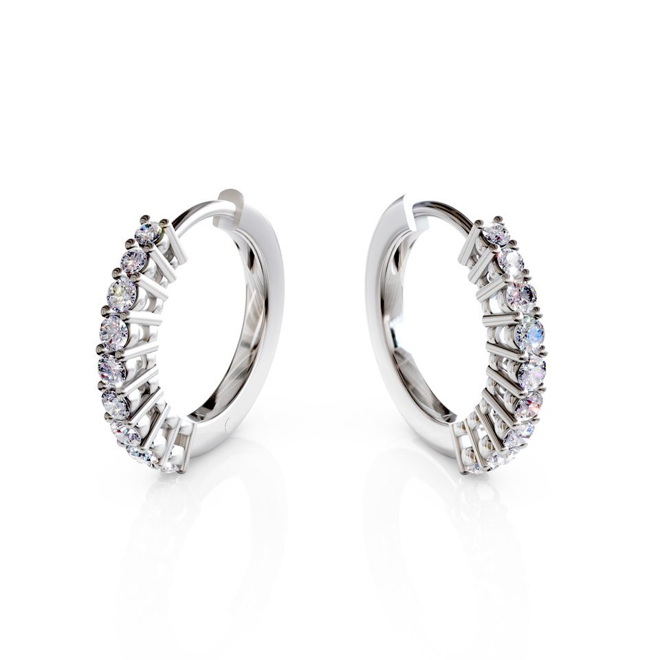 huggie hoop earrings